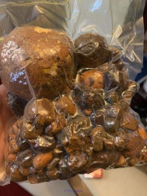 Bezoars or Ox Gallstones, Cow Gallstones, Cattle Gallstones For Sale