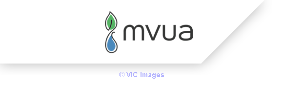 Best Magnesium Glycinate Supplement – MVUA Health