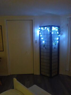 AVAILABLE IMMEDIATELY ROOM FOR RENT IN A ALL FEMALE RESIDENTIAL HOUSIN