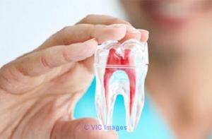 Get Your Root Canal Treatment Done by Certified Dentists in Calgary