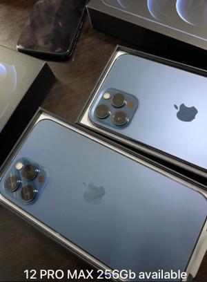 Apple iPhone 13 Pro Max brand new and unlocked.