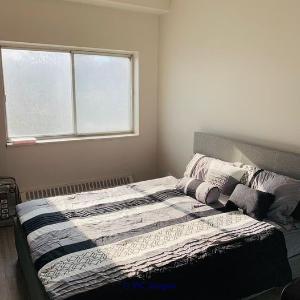 Queen bed and Spring mattress (wooden box bed)