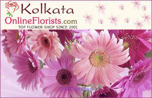 Best Rakshabandhan Dry Fruits & Rakhi Combo Delivery in Kolkata Free S