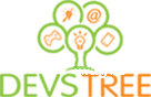 Devstree IT Services Canada