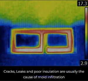 Mold Removal Services in Montreal, Canada 