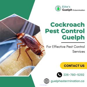 Cockroach Pest Control Guelph
