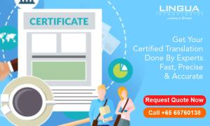 Professional Translation Company Singapore