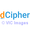 Recruitment Services Company | Best software engineers recruitment