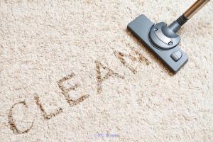 Carpet Cleaning Scarborough: instant solution to your carpet cleaning 