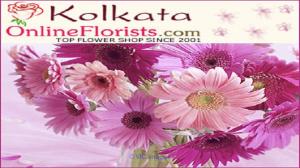 Best Gifts for Occasion of Light  in Kolkata Free Delivery Cheap Price