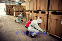 Pest Control Services in Sharjah