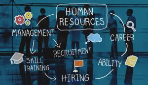 Human Resources services