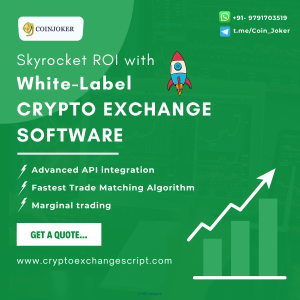 Cryptocurrency Exchange Software Development Services 