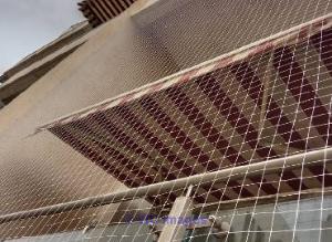 Residential Bird netting Service in Kothrud