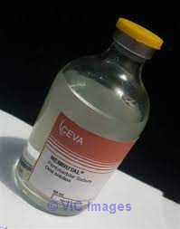  Buy Nembutal phenobarbital for veterinary and human use.