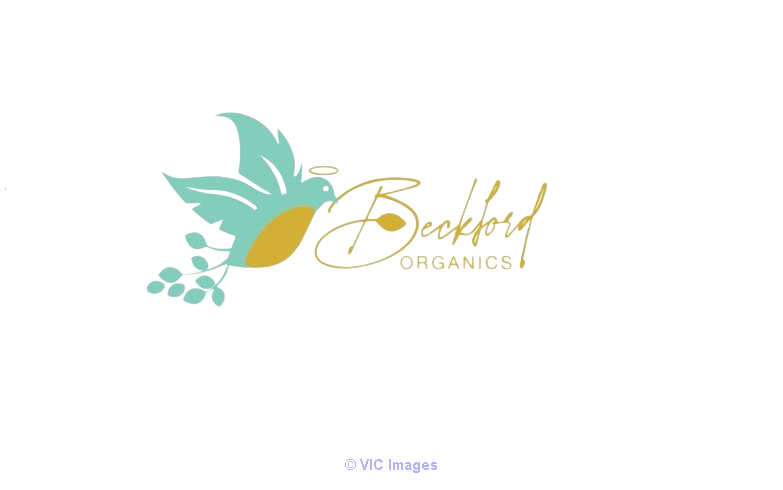 Buy Blood Pressure Tea by Beckford Organics Teas