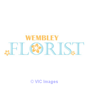Wembley Florist