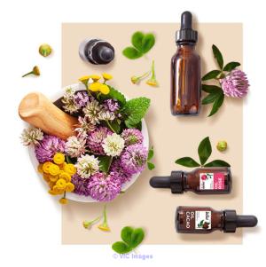 Essential Oil Manufacturer in India