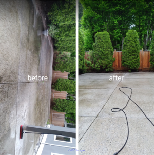 Professional Cleaning Service