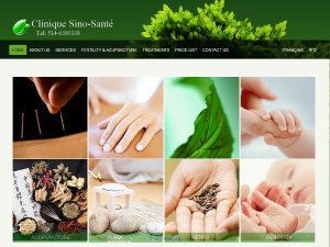 Acupuncture and Chinese Herbal Medicine Treatment Clinic Montreal, Que