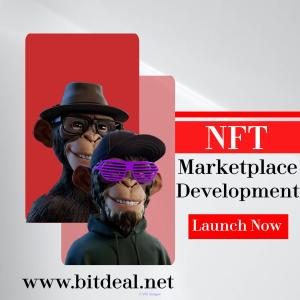 NFT Marketplace Script With Trendy Features - Check Now!