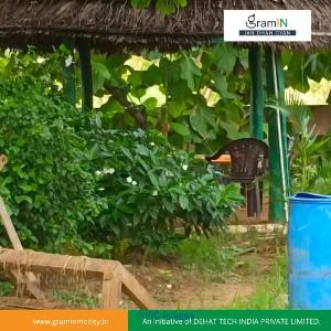 Organic Farming In India | Organic Products – Gramin