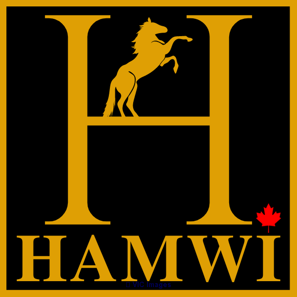 Hamwi Insurance Prime Rates