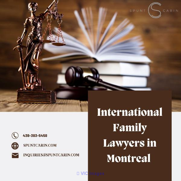 International Family Lawyers in Montreal | Spunt & Carin