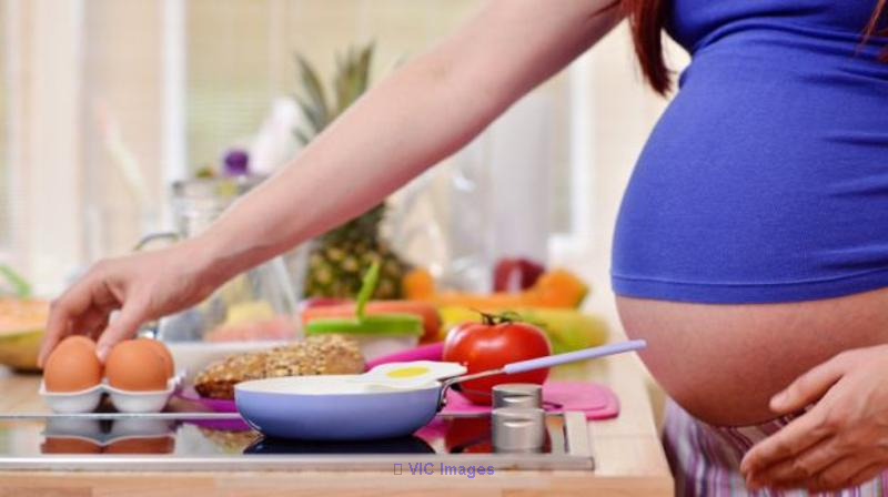 Diet Plans for Pregnancy in Delhi