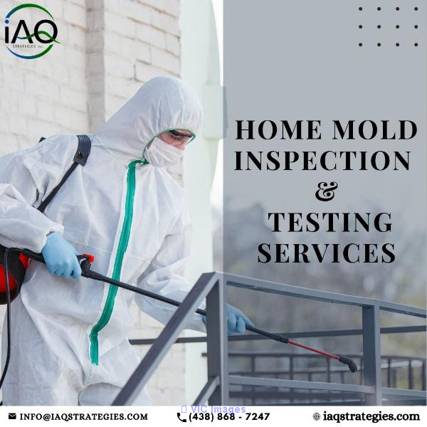 Home mold inspection & testing services Montreal