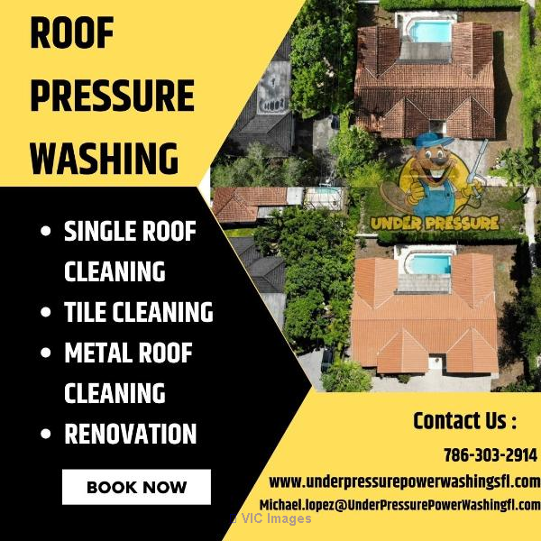 Revitalize Your Roof With Our Professional Roof Power Washing Experts