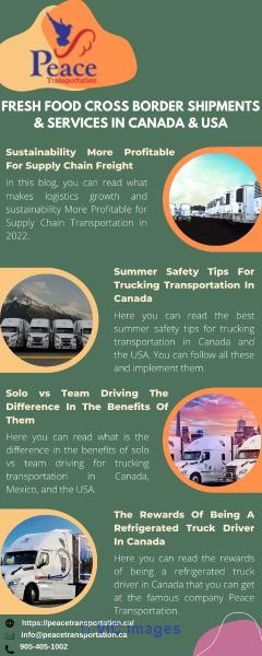 Solo vs Team Driving The Difference In The Benefits Of Them