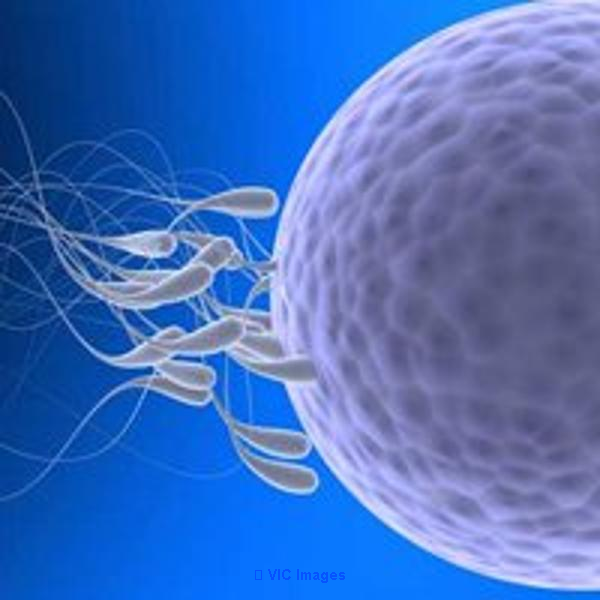 IVF Centre in Delhi, Best IVF Center in Delhi
