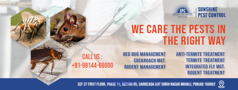 Pest Management Services || PEST CONTROL COMPANY ||