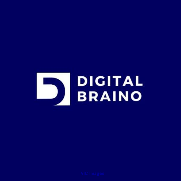 SEO company in Indore