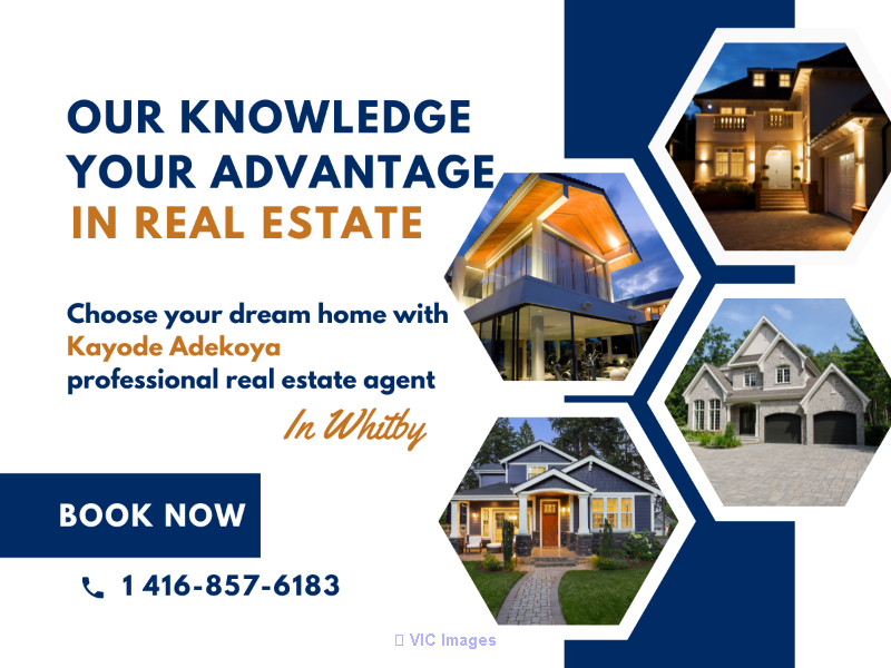 Kayode Adekoya Real Estate Agent