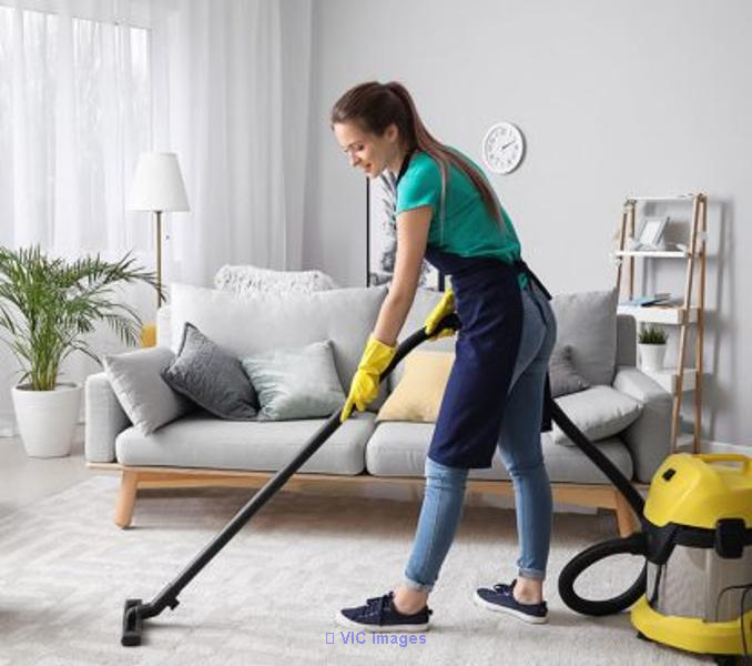 Phoenix Look Cleaning Service GTA