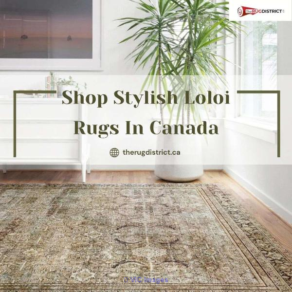 Shop Stylish Loloi Rugs in Canada - The Rug District