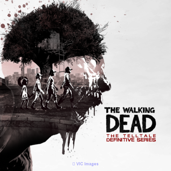 The Walking Dead Definitive Series Laptop/Desktop Computer Game.