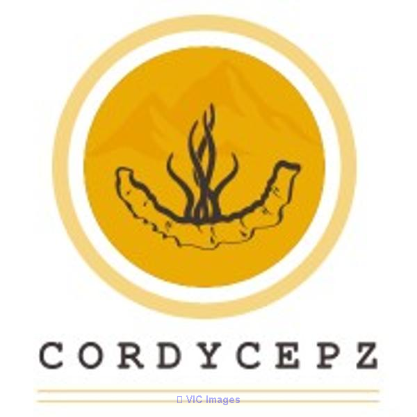 Cordyceps Militaris in India | Best Cordyceps Supplement Powder
