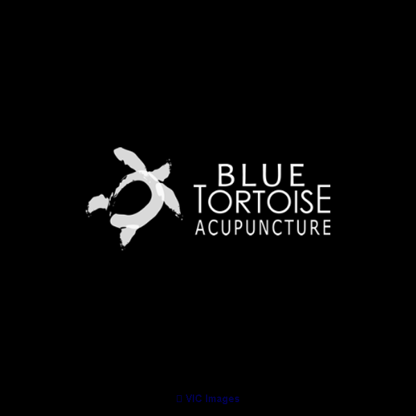 Blue Tortoise Acupuncture