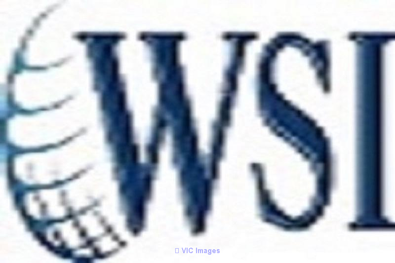 Media Digital Marketing -WSI Next Gen Marketing