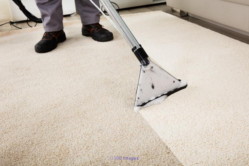 Carpet cleaning is essential for keeping flooring fresh and germ-free.