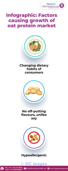 Oat proteins – An emerging ingredient in Food formulation