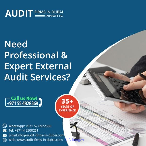 Need Professional & Expert External Audit Services?