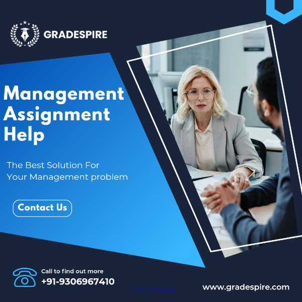 Management Assignment Help