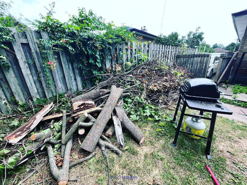 Junk Wipers: Clear the Clutter