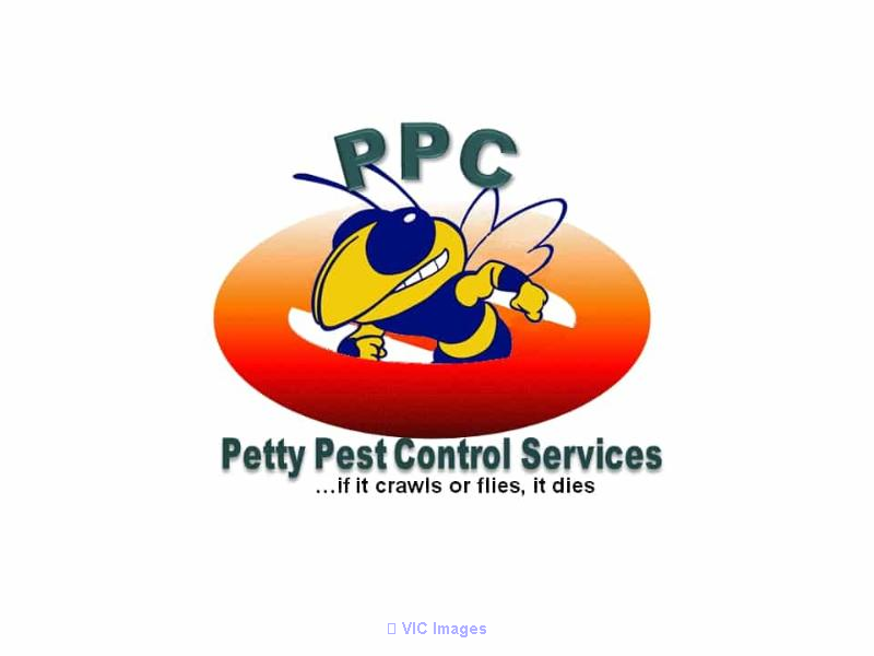 Bed Bug Extermination in Hamilton