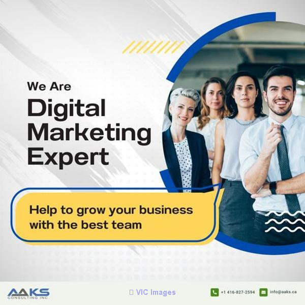 Digital Marketing Expert In Canada