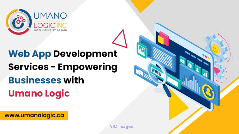 Elevate Your Business with Expert Web App Development